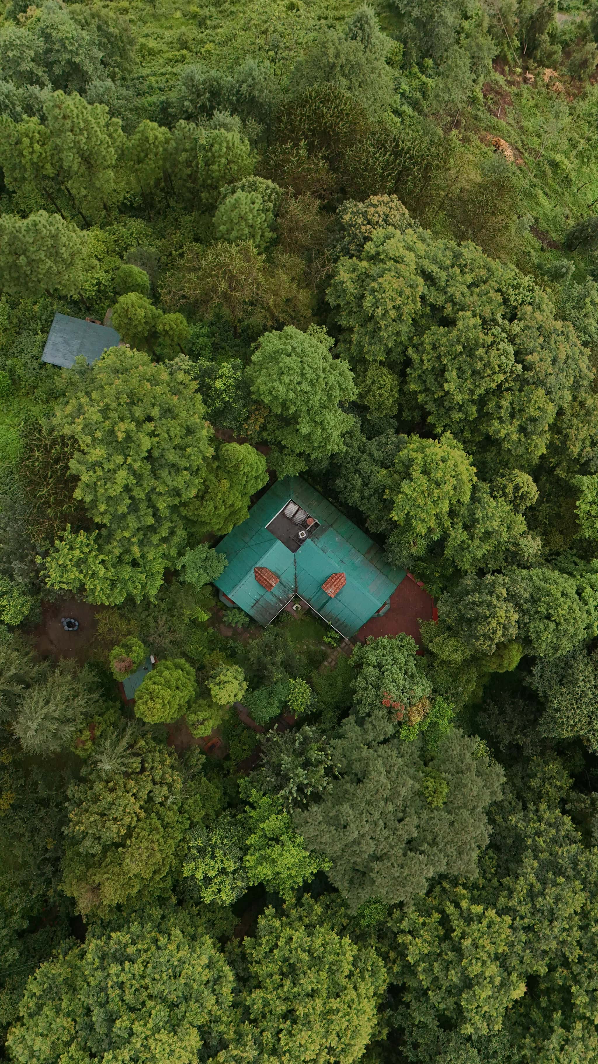 Photo of Villa`